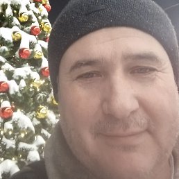 ��������, ������, 44 ����