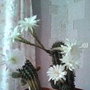 ���� ������, ������, 76 ��� - ��������� 27 ������� 2023 � ������ ���� ����������