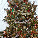 ���� Anastasia, ������ - ��������� 21 ������ 2026 � ������ ���� ����������