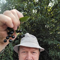 ������, 57 ���, �����������