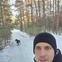 , 32 , 