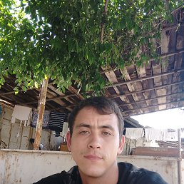 , 29, 