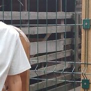 ����, 23 ����, ���������