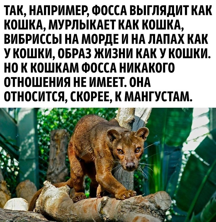  - ,    ! - 3