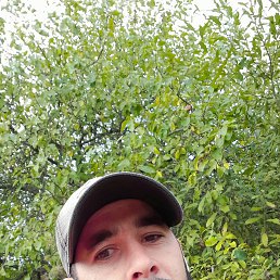 , 34, 