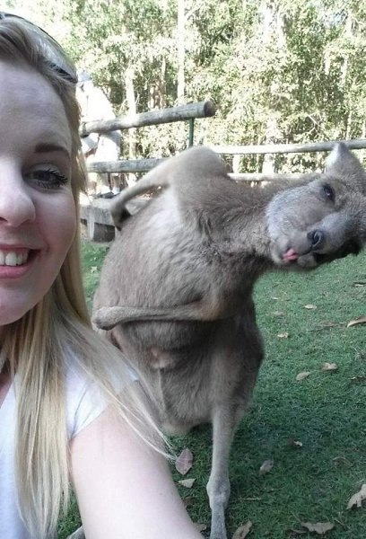 ��� ���� - 20 ������� 2025 � 19:35