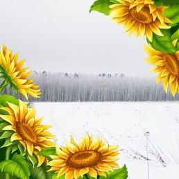 ����������, ������, 75 ���