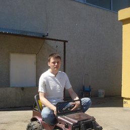 , 41, 