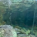 ���� ����, ����������, 58 ��� - ��������� 12 ������ 2024 � ������ ���� ����������