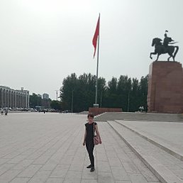 �����, ������������, 40 ���