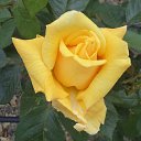 ���� ���������, ������������, 65 ��� - ��������� 20 ������ 2026