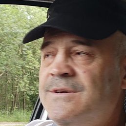 ��������, �����, 66 ���