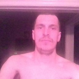 �����, 40 ���, ������