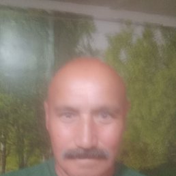 , 64, 