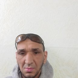 ����, 44 ����, ���������