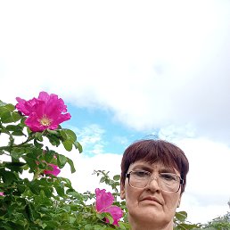 , 58, 