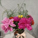 ���� ����, ������, 41 ��� - ��������� 22 ������� 2026 � ������ ���� ����������