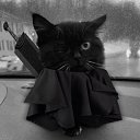 ���� �����, ������������, 22 ���� - ��������� 5 ������� 2025 � ������ ���� ����������