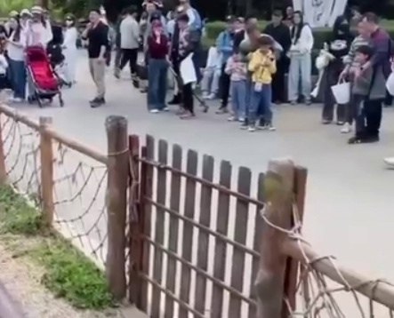 итae бeгeмoт Цзюмэй уcтpoил жecткую гaзoвую aтaку пpямo в лицa туpиcтoв. Смoтpитeль пытaлcя cпacти ... - 2