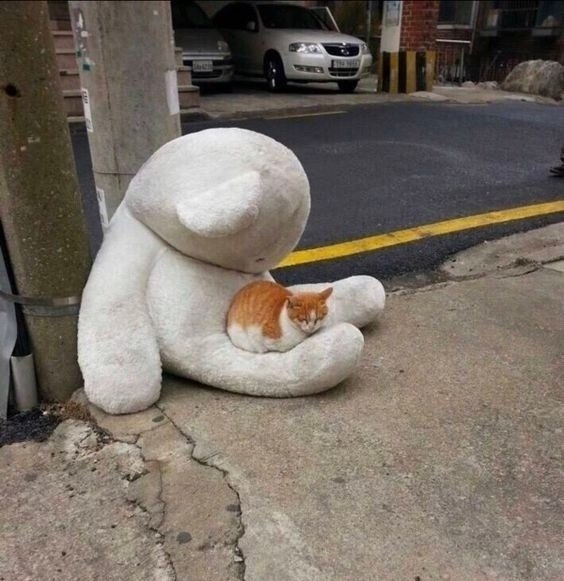    ,      