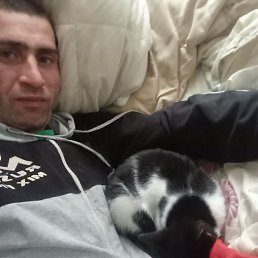 �������, ���������, 36 ���