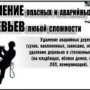 ���� ��������, ������-��-����, 38 ��� - ��������� 18 ������� 2026 � ������ ������ ��������