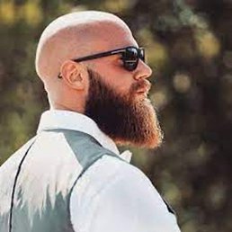 Monk..., ������