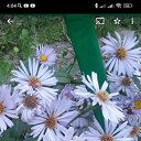 ���� �������, �����������, 44 ���� - ��������� 10 ������� 2024 � ������ ���� ����������