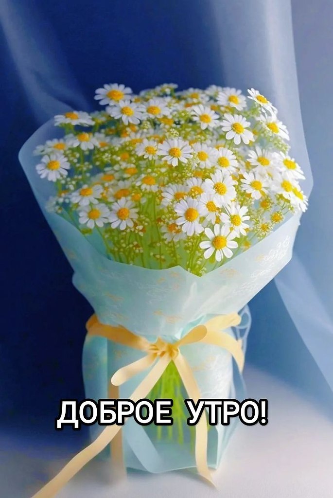   ,    . - 26  2024  23:59