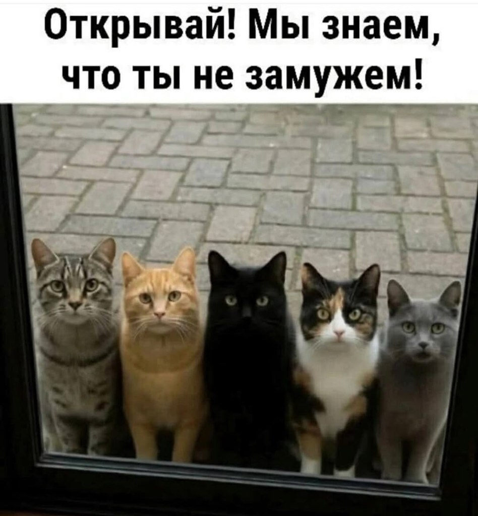       - 13  2025  14:32