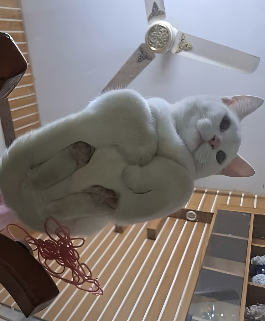    ,      - 2