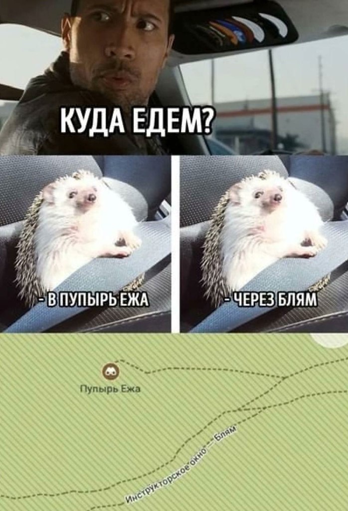    - 18  2024  08:19