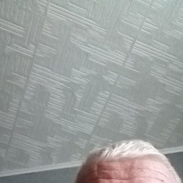 ��������, ������, 78 ���