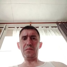���� ��������, �����, 46 ��� - ��������� 14 ���� 2026