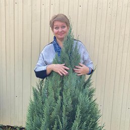 ���� ����, ������, 53 ���� - ��������� 17 ��� 2024