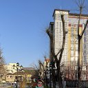 ���� �����, �������-�����, 56 ��� - ��������� 1 ������ 2024