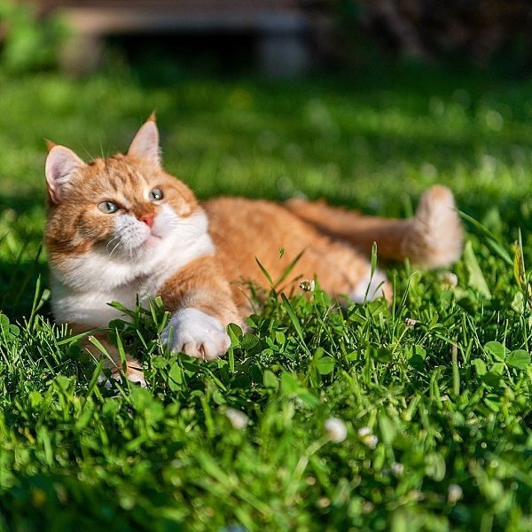 ��������� � ����� �������! - 5