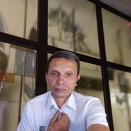 , 56, 