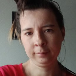 , , 29 
