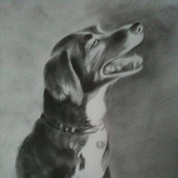 Lina, �������