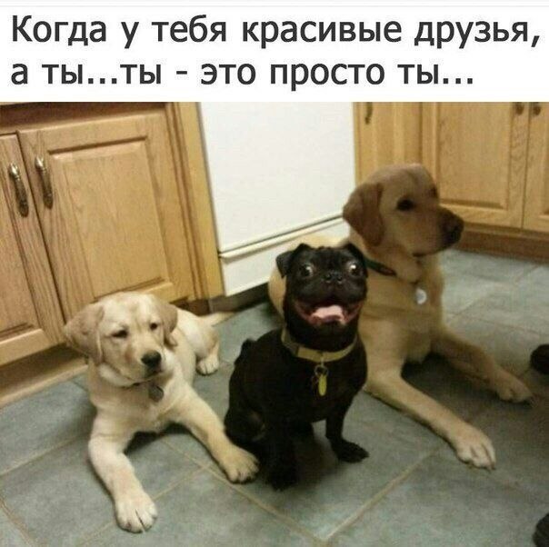    - 20  2023  23:33