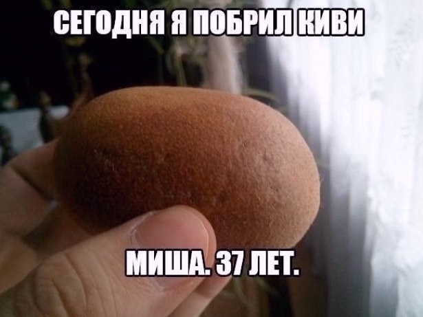 �������� - 1 ������� 2026 � 13:02