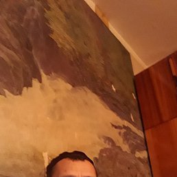 , 44, 