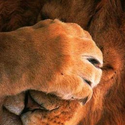 ������, �����, 48 ���