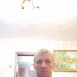 , 48, 