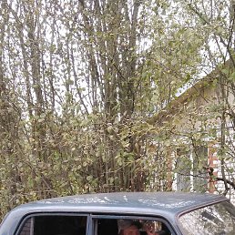 �������, �����-���������, 47 ���