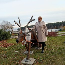 ������, ������, 53 ����