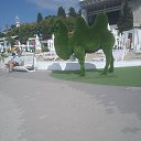 ���� ���������, ��������� - ��������� 20 ������� 2024 � ������ ���� ����������