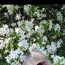 ���� �����, ������������, 55 ��� - ��������� 14 ������ 2026 � ������ ���� ����������