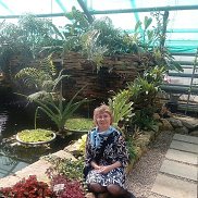 , 61 , 
